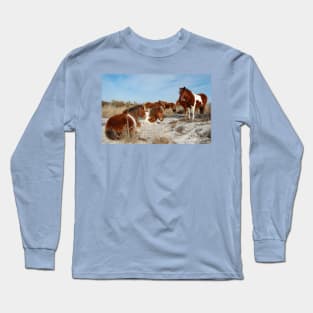 Wild horses, wildlife, gifts, painted horse, Assateague Island, Maryland Long Sleeve T-Shirt